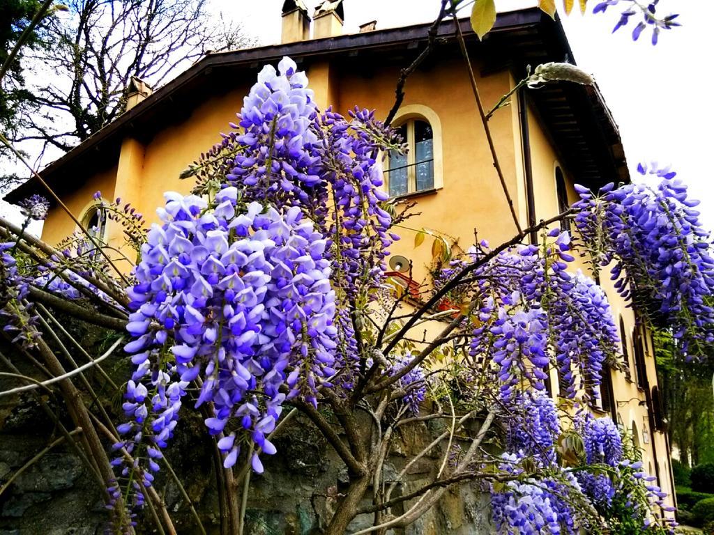 La Locanda Del Borgo Pietralunga  Eksteriør bilde